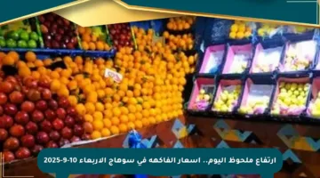 ارتفاع ملحوظ اليوم.. أسعار الفاكهة في سوهاج الأربعاء 10-9-2025